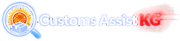 Customs Assist KG