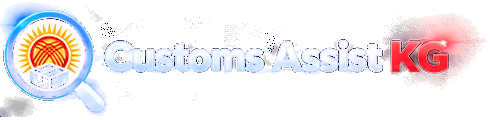 Customs Assist KG